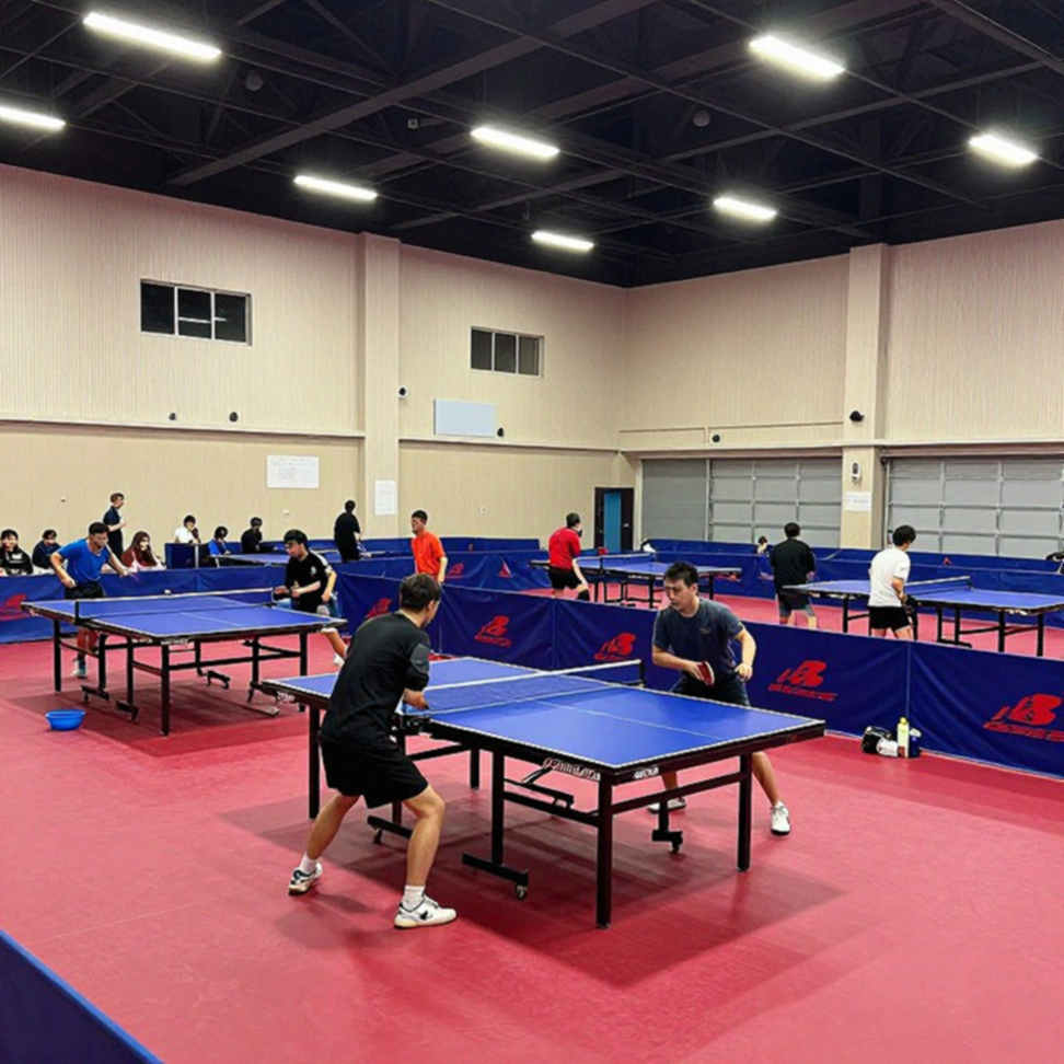 Bảy trận chung kết, bảy tấm vàng tuổi 13: Đọc lại bảng huy chương Katy bằng ngôn ngữ hình học