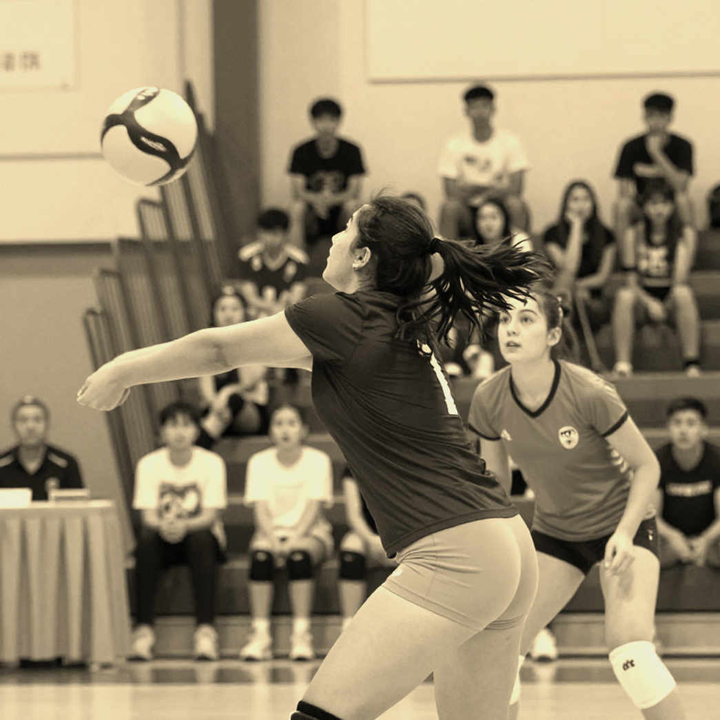 Giải bóng chuyền nữ quốc gia 2026: mười bốn vòng đấu, một Hà Nội sa sút và khoảng trống dữ liệu