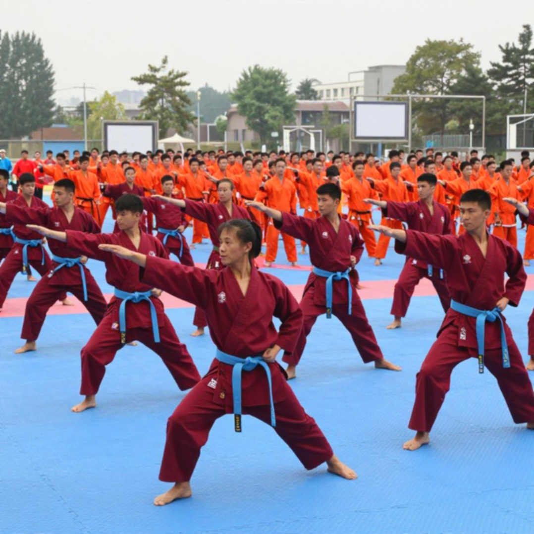 Inside the Analysis Room of Vietnamese Martial Arts