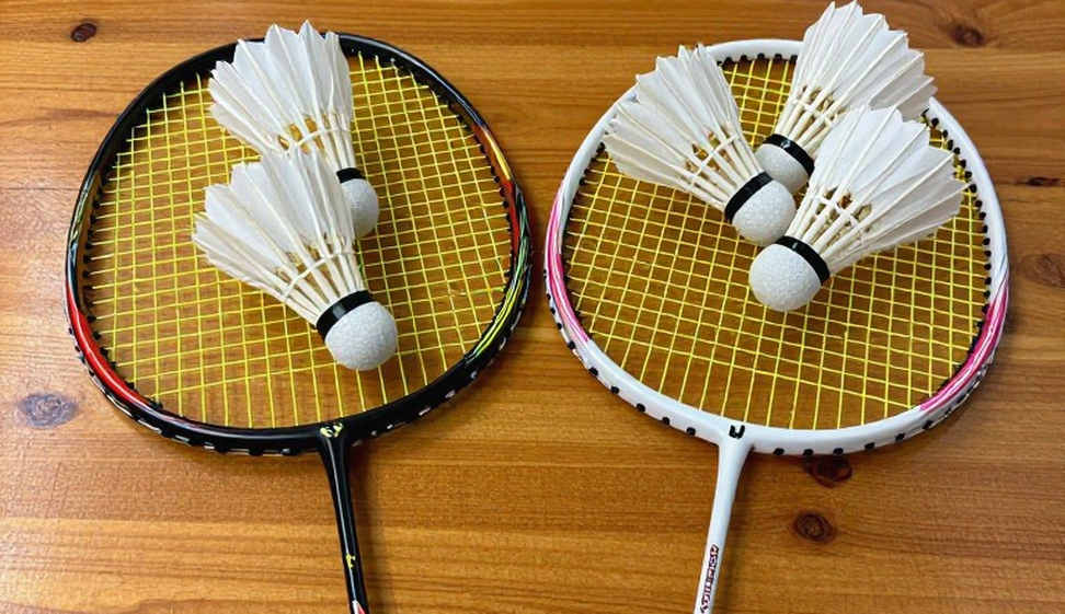 Sindhu Reaches 2026 French Open Final: When a Six-Point Error-Free Run Matters More Than the Smash